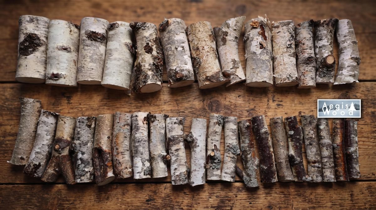 Lot de 33 petits rondins de bouleau naturel ~10 cm, diamètres 1,5 à 5 cm, bois avec écorce pour loisirs créatifs, déco de Noël...