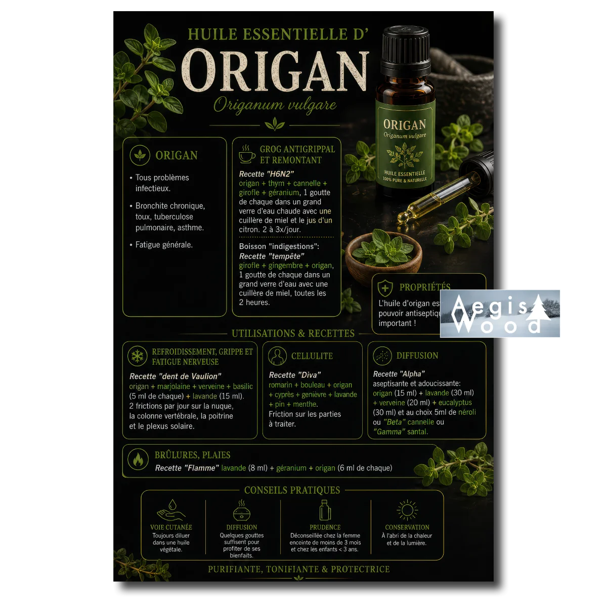 Affiche Huile essentielle d'origan (Origanum vulgare), affiche des propriétés, usages et recettes