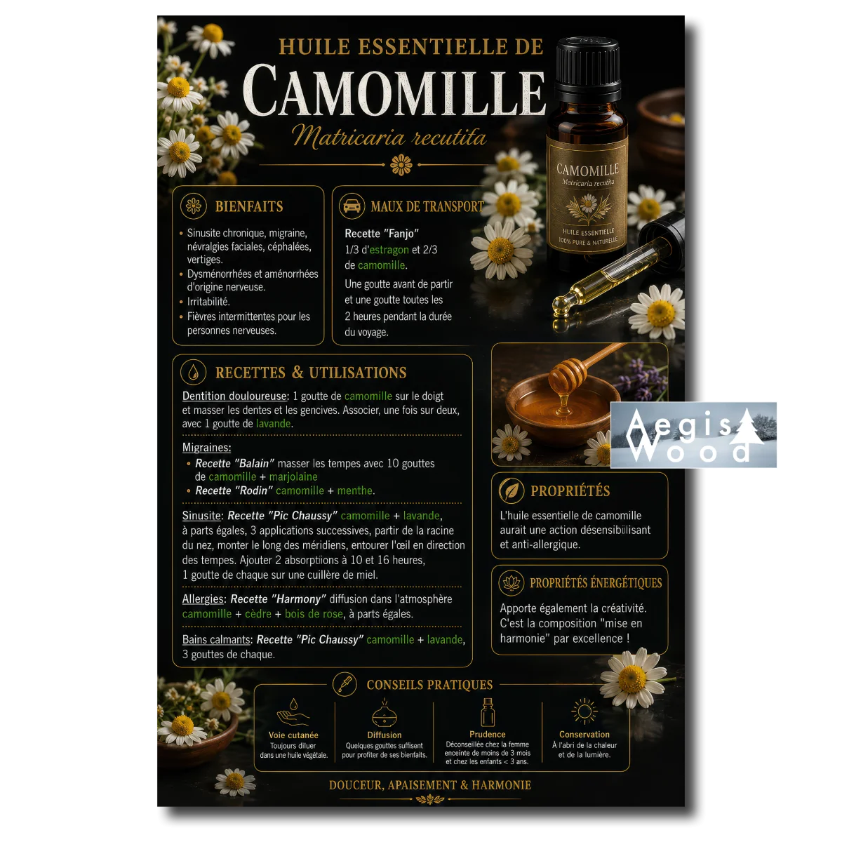 Affiche Huile essentielle de camomille (Matricaria recutita), affiche bienfaits, usages, recettes