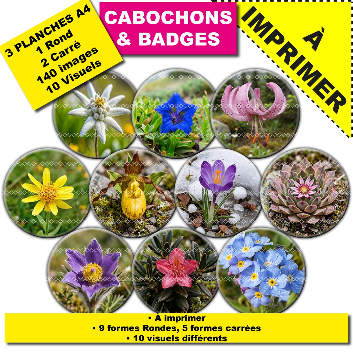 IMAGES POUR CABOCHONS & BADGES : fleurs de montagnes