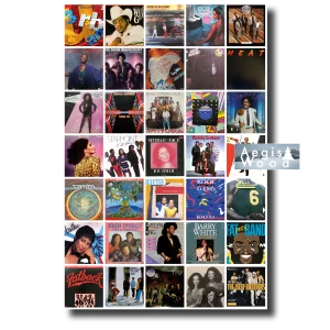Affiche représentant 35 pochettes de 33T des années 1980 période disco