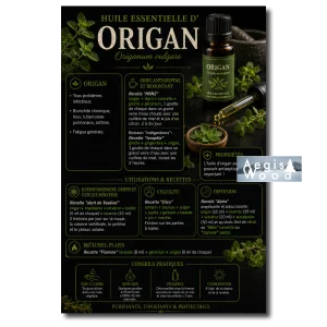 Affiche Huile essentielle d'origan (Origanum vulgare), affiche des propriétés, usages et recettes